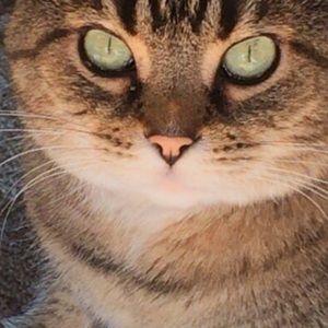 Meet your Posher, Alexandra